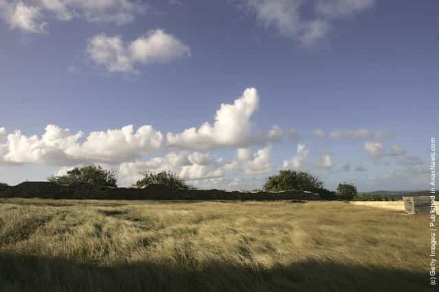 Clouds float over an open field