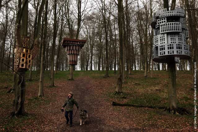 Artists Create Bird Boxes To Reflect Their Surrounding Architecture