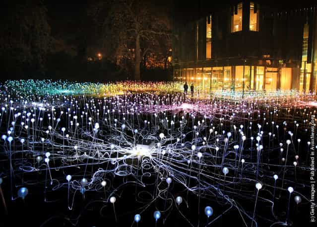 Bruce Munros latest installation Field of Light in the grounds of the Holbourne Musuem in Bath, England