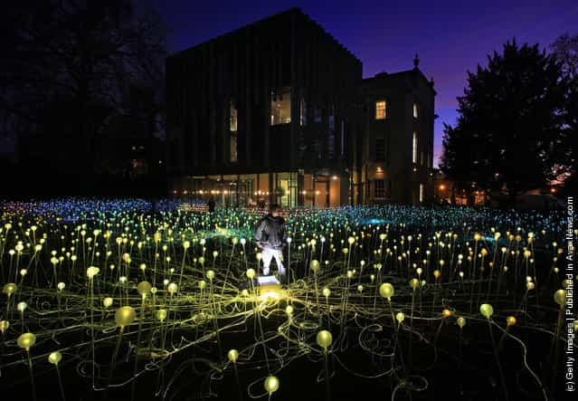 Bruce Munros latest installation Field of Light in the grounds of the Holbourne Musuem in Bath, England