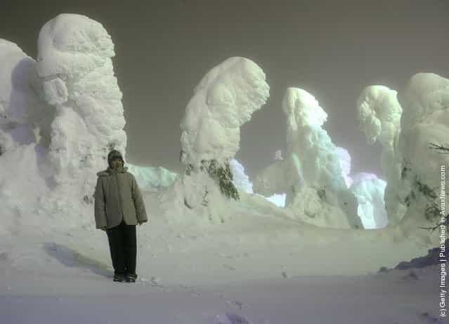 Picturesque Zao Ski Resort In Japan