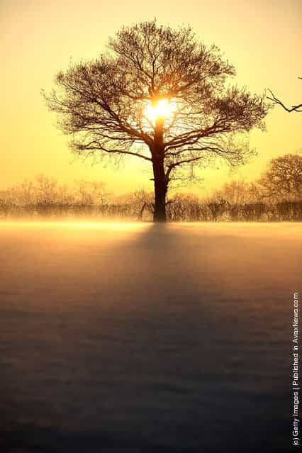 A hoar frost clings to trees as the sunsets over fields on January