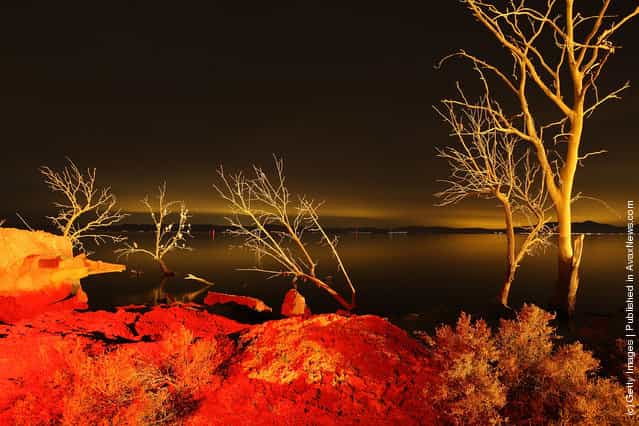 Light from a geothermal energy plant along the southern San Andreas Fault illuminates dead trees flooded by the rising waters from the Salton Sea