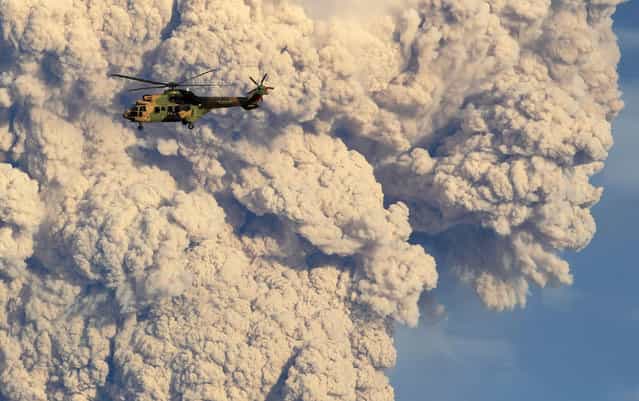 A helicopter flies past a column of ash and steam rising from the Puyehue-Cordon Caulle volcanic chain near Osorno city in south-central Chile June 5, 2011