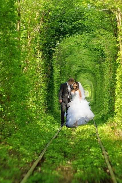 Tunnel of love