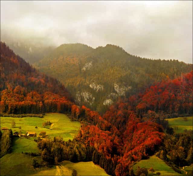 Red Heart – autumn landscape