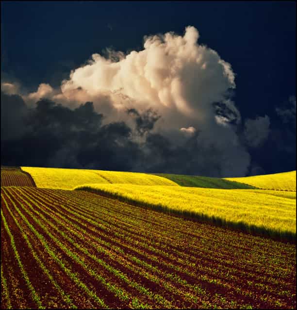 Yellow field – Serbia inspired.:)