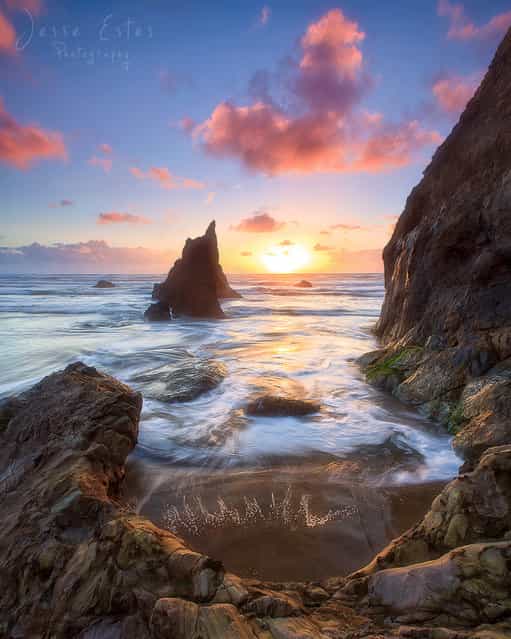 Oregon Coast. (Jesse Estes)