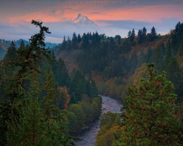 Mount Hood, Oregon. (Jesse Estes)