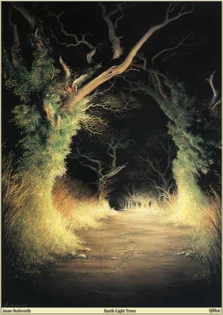 Anne Sudworth – Earth Light Trees