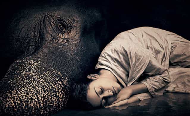 [Ashes and Snow] by Gregory Colbert