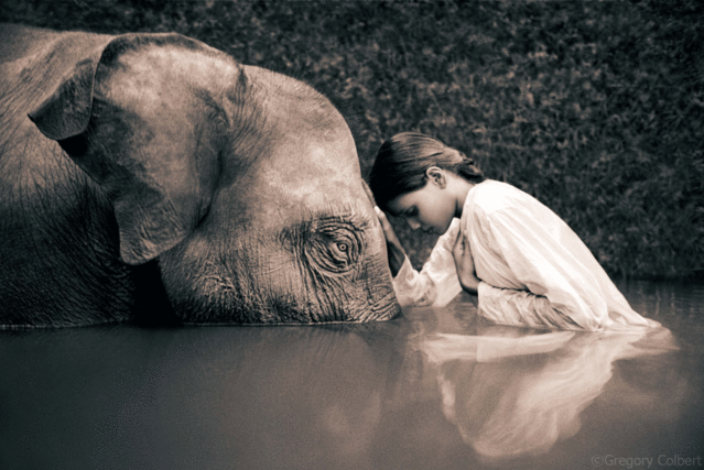 [Ashes and Snow] by Gregory Colbert