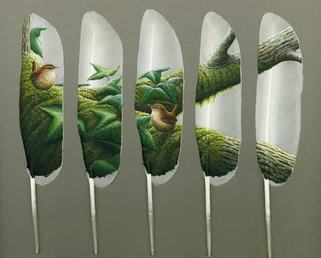 Feather Paintings By Julie Thompson