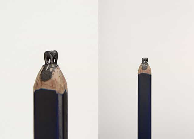 Pencil Carvings By Diem Chau