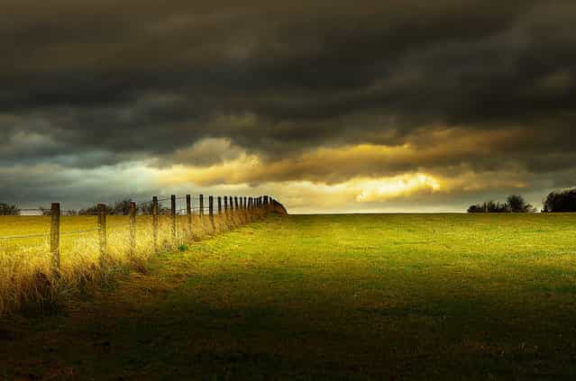 The fence. (Eric Goncalves)