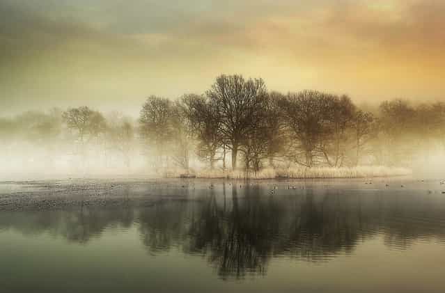 Misty reflections. (Eric Goncalves)