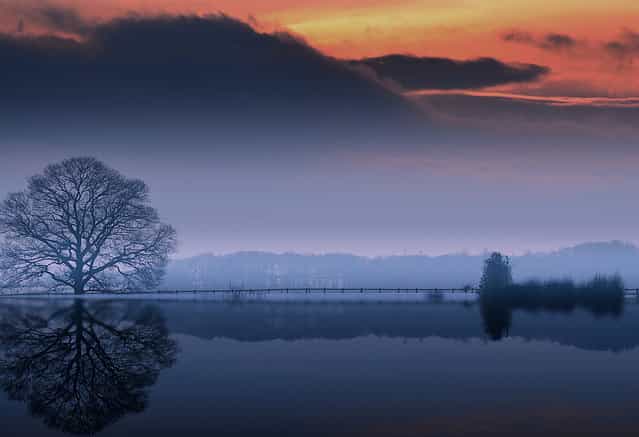 Severn river banks. (Eric Goncalves)