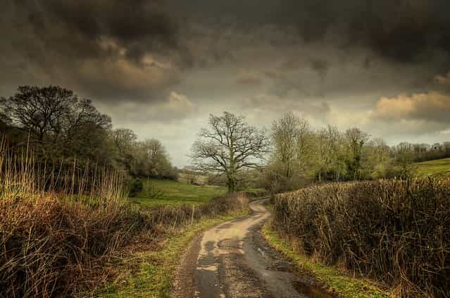 The English countryside. (Eric Goncalves)