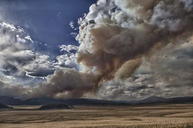 Thompson Ridge fire at the Valles Grande, 6/4/13. (Photo by Stephen Lee)