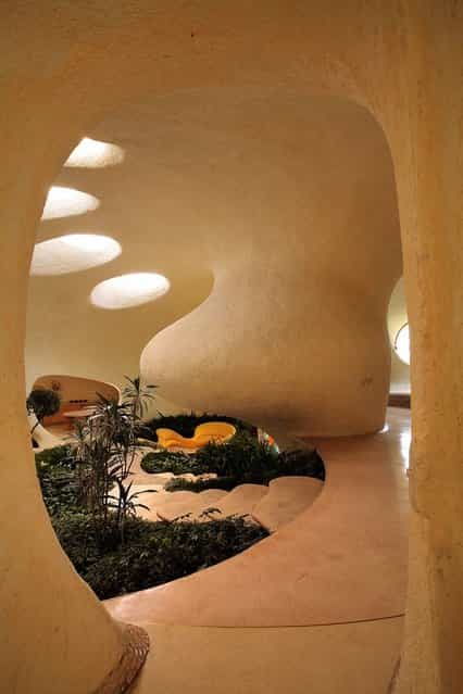 Living In A Shell – Nautilus House