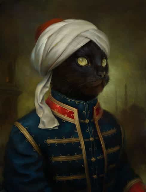 [The Hermitage Court Moor Cat]. (Photo by Eldar Zakirov)