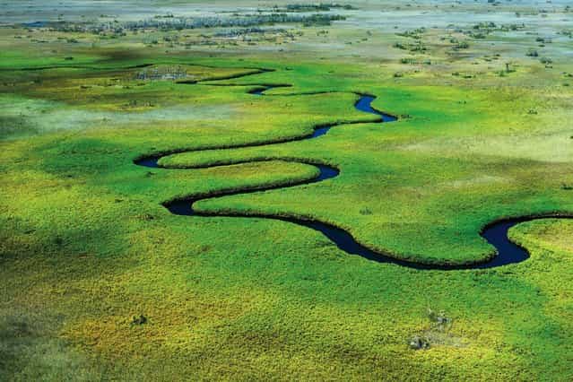This river on the Okavango Delta in Botswana looks like a blue water snake. (Photo by Alex Bernasconi)