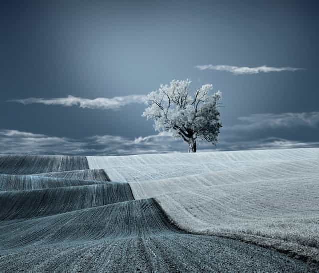 Beautiful Blue World By Caras Ionu