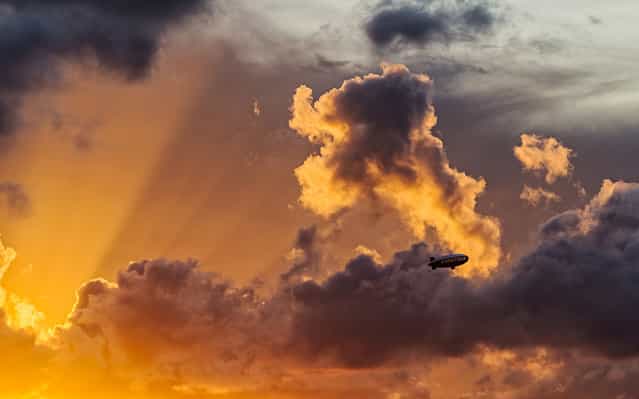 [Zeppelin Rays]. Miami, 2013. (Photo by lostINmia)