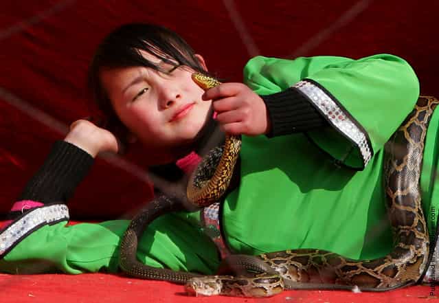 Chinese Snake Charmer