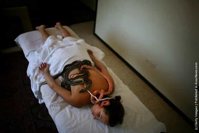Snake Massage