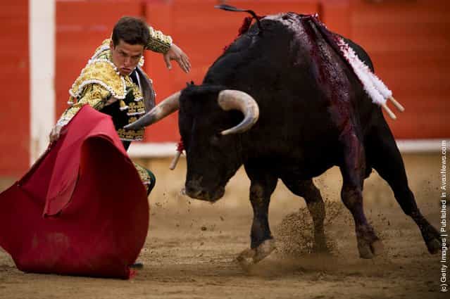 Bullfights In Barcelona 2011