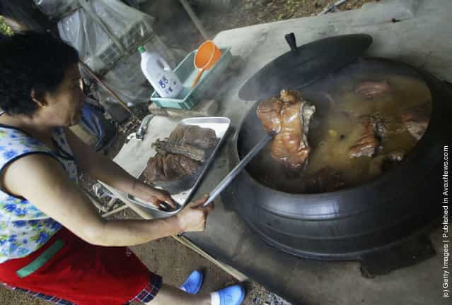 South Korean Restaurants Serve Dog Meat