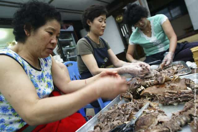 South Korean Restaurants Serve Dog Meat