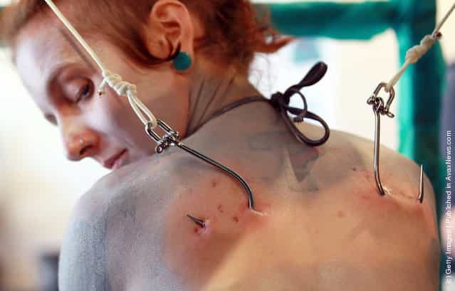 Alice Newstead inspects shark hooks that she had pierced into her skin during a demonstration against the shark fin trade