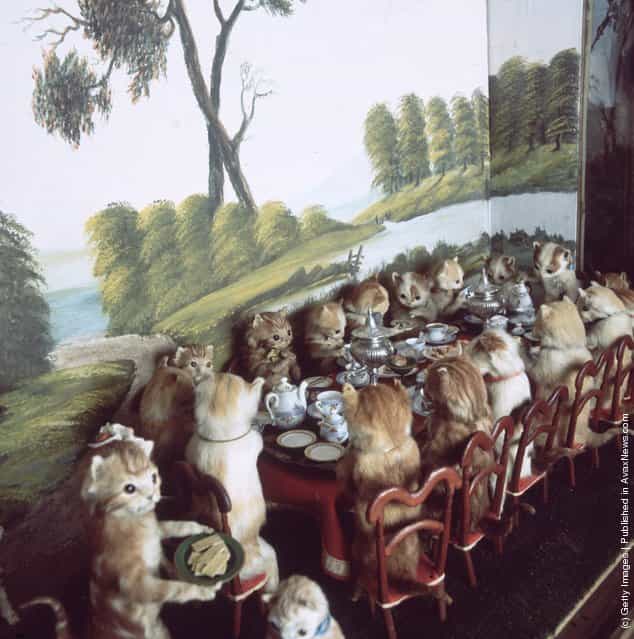 Victorian stuffed animals created by taxidermist Walter Potter at Potters Museum of Curiosity