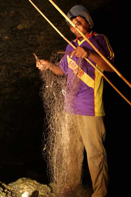 Bat catcher Martono collects bats captured in a cave on July 31, 2009 in Yogyakarta, Indonesia