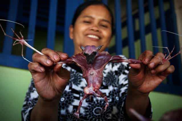 Bat seller Sukarwati shows a skinned bat on July 30, 2009 in Yogyakarta, Indonesia. Sukarwati and her family have hunted bats in the Imogiri region for generations, capturing more than 800 bats per month. The Sukarwati family believe that the meat from the bat heals asthma and respiratory problems and it is a great honour for them knowing that the meat that they provide will help ease people's health ailments. (Photo by Ulet Ifansasti)