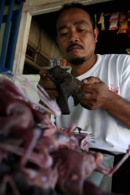 A man skins a bat on July 30, 2009 in Yogyakarta, Indonesia. Sukarwati and her family have hunted bats in the Imogiri region for generations, capturing more than 800 bats per month. The Sukarwati family believe that the meat from the bat heals asthma and respiratory problems and it is a great honour for them knowing that the meat that they provide will help ease people's health ailments. (Photo by Ulet Ifansasti)