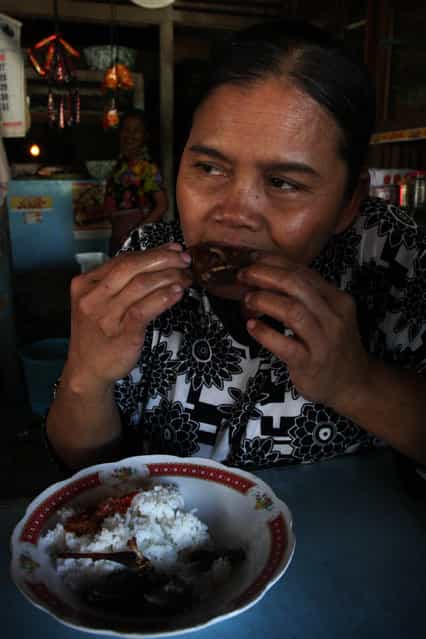 Bat seller Sukarwati eats a bat on July 30, 2009 in Yogyakarta, Indonesia. Sukarwati and her family have hunted bats in the Imogiri region for generations, capturing more than 800 bats per month. The Sukarwati family believe that the meat from the bat heals asthma and respiratory problems and it is a great honour for them knowing that the meat that they provide will help ease people's health ailments. (Photo by Ulet Ifansasti)