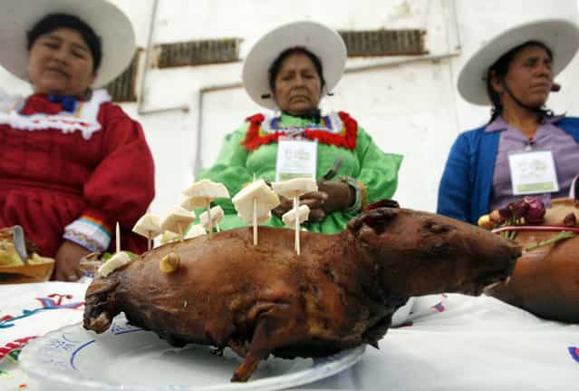 Andean women display a dish of roasted cuy during a guinea pig festival in Huacho, northern Lima, July 20, 2008. The one-day festival includes an animal show and a food and fashion contest which features the guinea pig, native to the Andes. Cuy, a traditional fried or roasted guinea pig dish, dates back at least fifteen centuries to pre-Incan times. (Photo by Mariana Bazo/Reuters)