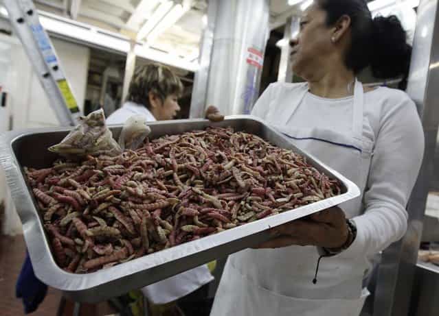 A woman holds a tray of maguey worms at the San Juan food market in Mexico City June 19, 2013. Mexico's taste for eating creepy crawlies, originating from the Pre-Columbian era, could be the answer to ending hunger. United Nations Food and Agricultural Organisation (FAO) is encouraging the production of edible insects to supplement diets in areas where malnutrition is rife and as a measure to combat obesity. Nowhere has the message been more warmly received than in Mexico where insects have been part of the diet for hundreds of years. Pre-Columbian civilizations in the country ate them frequently as a main source of protein because meat through cattle raising did not exist. Although conquistadors discouraged insect consumption, ethnic groups in the country continued to eat them. (Photo by Henry Romero/Reuters)