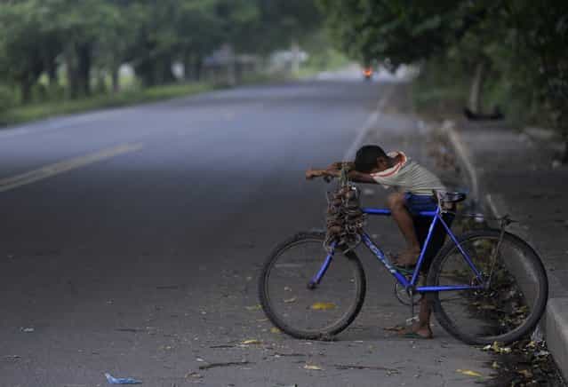 A boy rests his head on his bicycle while waiting for customers to buy his crabs on a street in Cedeno, 150 km (93 miles) south of Honduras September 12, 2012. (Photo by Jorge Cabrera/Reuters)