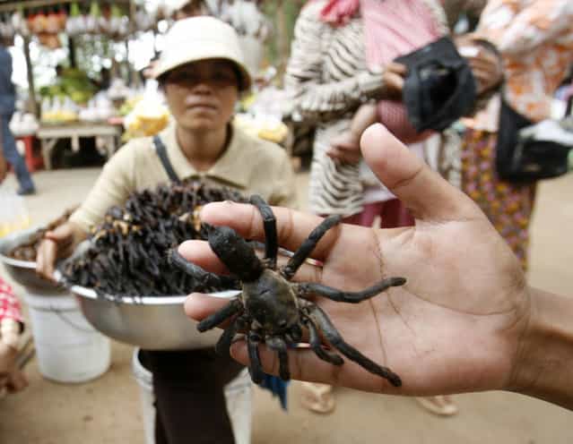 A vendor selling deep-fried spiders poses with a spider as she waits for customers at bus station at Skun, Kampong Cham province, east of Phnom Penh March 14, 2009. It costs $2 for 10 deep-fried spiders, which come seasoned with garlic. The fist-sized arachnids are crunchy on the outside and taste like cold, gooey chicken on the inside. (Photo by Chor Sokunthea/Reuters)