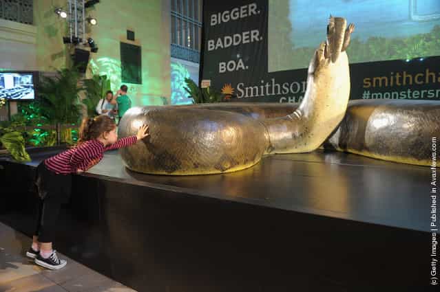 Titanoboa Replica On Display At Grand Central Terminal