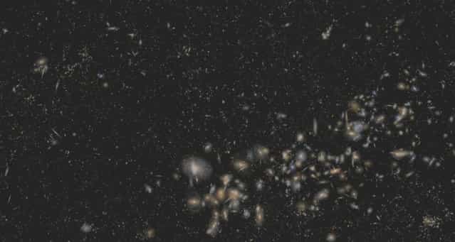 New 3-D Map of Massive Galaxies and Distant Black Holes Offers Clues to Dark Matter and Dark Energy