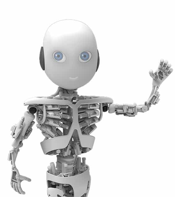 ROBOY: Tendon Driven Humanoid Robot