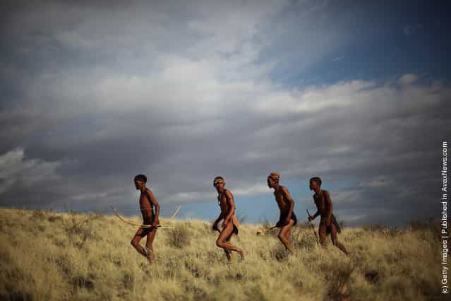 Study Suggests San Bushmen May Be Oldest Population On Earth