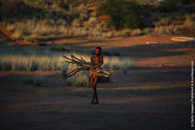Study Suggests San Bushmen May Be Oldest Population On Earth
