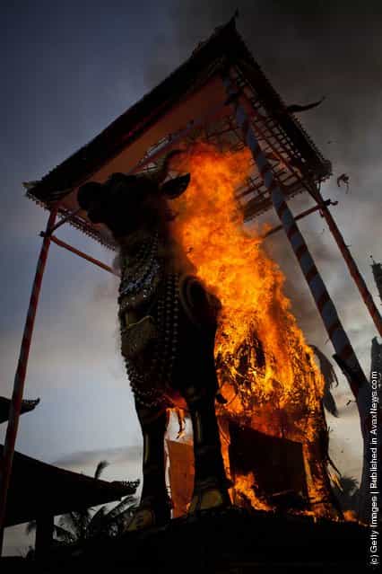 Royal Hindu Cremation Held In Bali