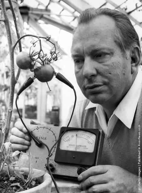 American science fiction writer L. Ron Hubbard, founder of the Church of Scientology, uses his Hubbard Electrometer